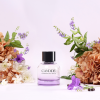 96687 1 candide garden delights