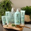 creme mains fluide hydratation express aloe vera the vert gamme