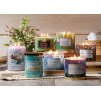 Assorted Candle Collection 2023