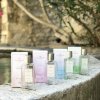 Nocibé EDT Intemporels Assortiment Fontaine upr