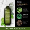 88016 2 goodness awaken limetka mata eukalyptus