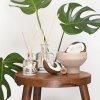 coconut diffuzer