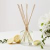 1 1904 CB Verbena 250mL Fragrance Diffuser 1 square