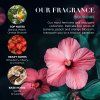 88282 3 tropical paradise sada kremu na ruce 3 ks