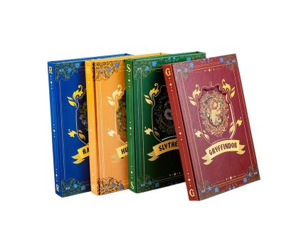 zapisnik-harry-potter