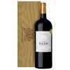 54 54 ch picon magnum