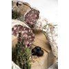 825 825 chillet ambiance 02bis