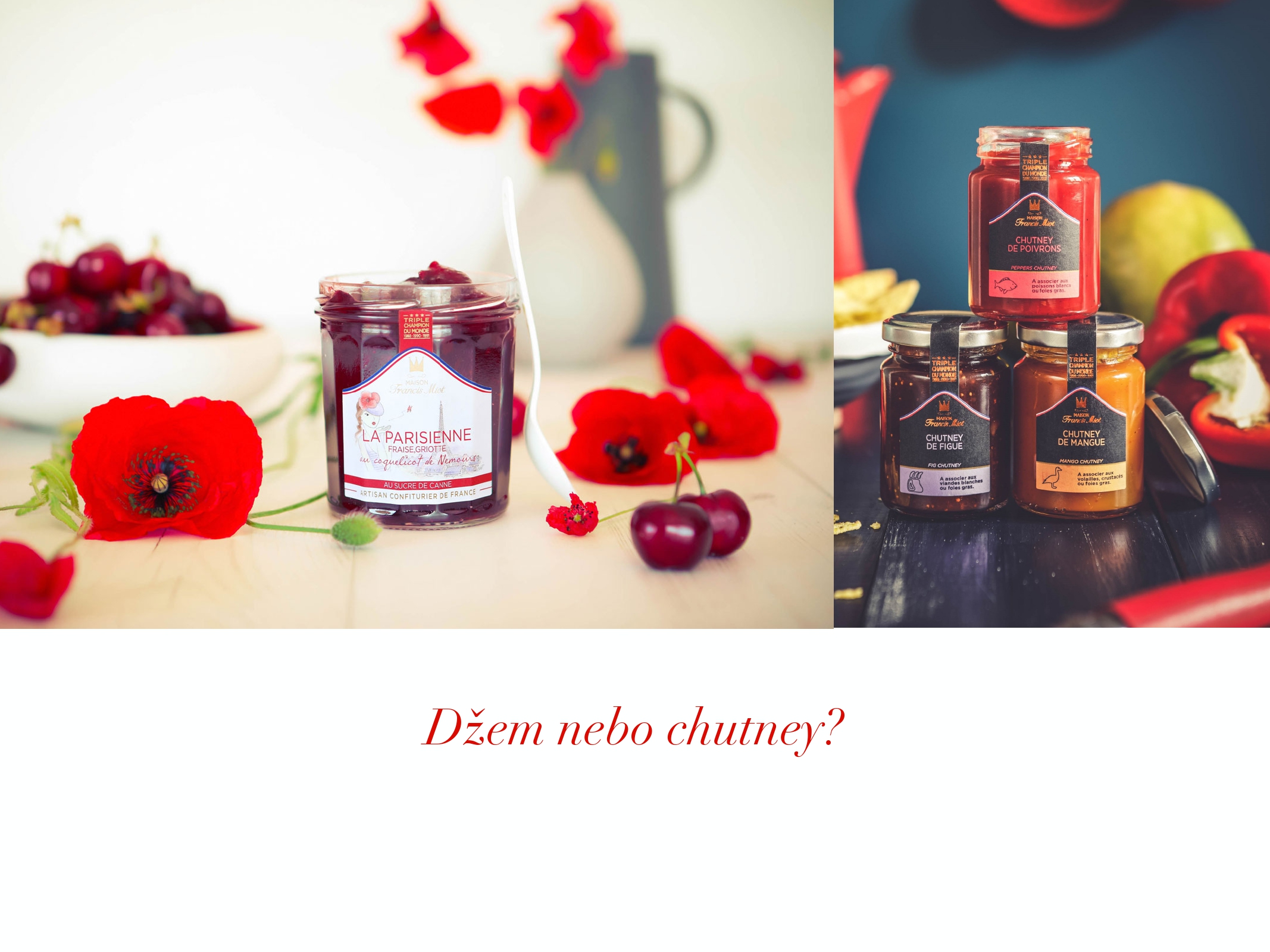 Francis Miot_02_2025