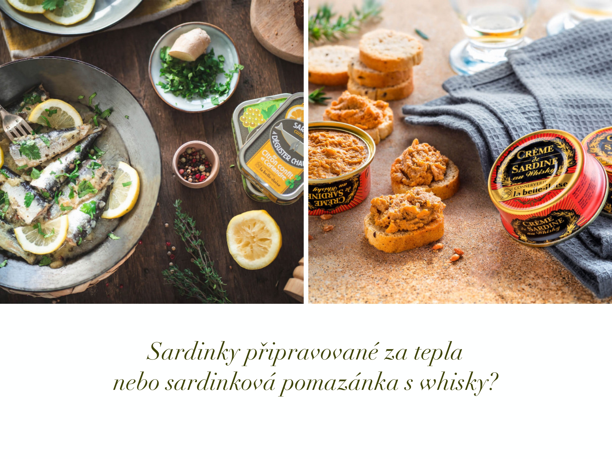 Sardinky 2024_resize