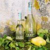 Cider Sassy Poiré hruska