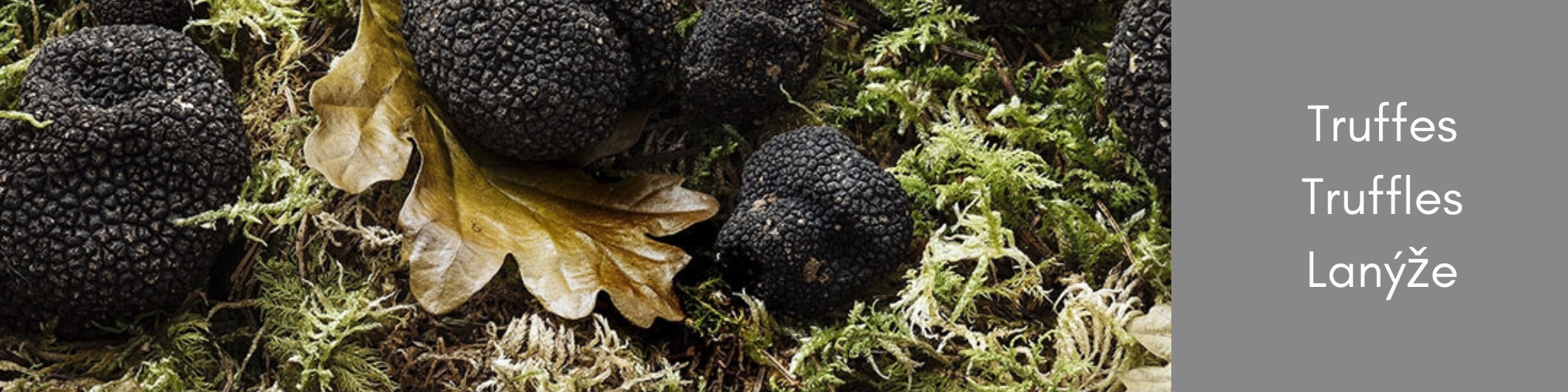 Francouzské speciality