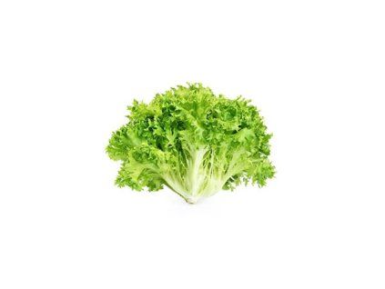 lechuga batavia ud 4