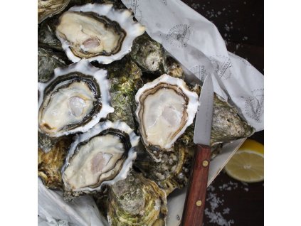 62ed106a7b00001d2ead5b61