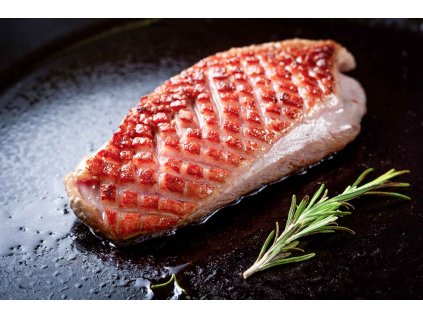 5d2323bc2097db98bbcf149f77d3414f