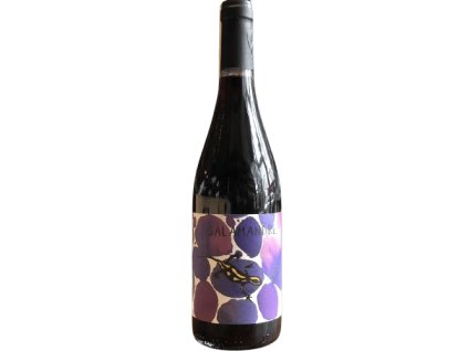 CHÂTEAU ST CYRGUES SALAMANDRE SYRAH 100 %