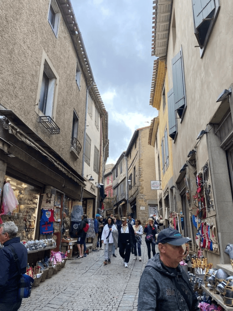 Albi a okolí