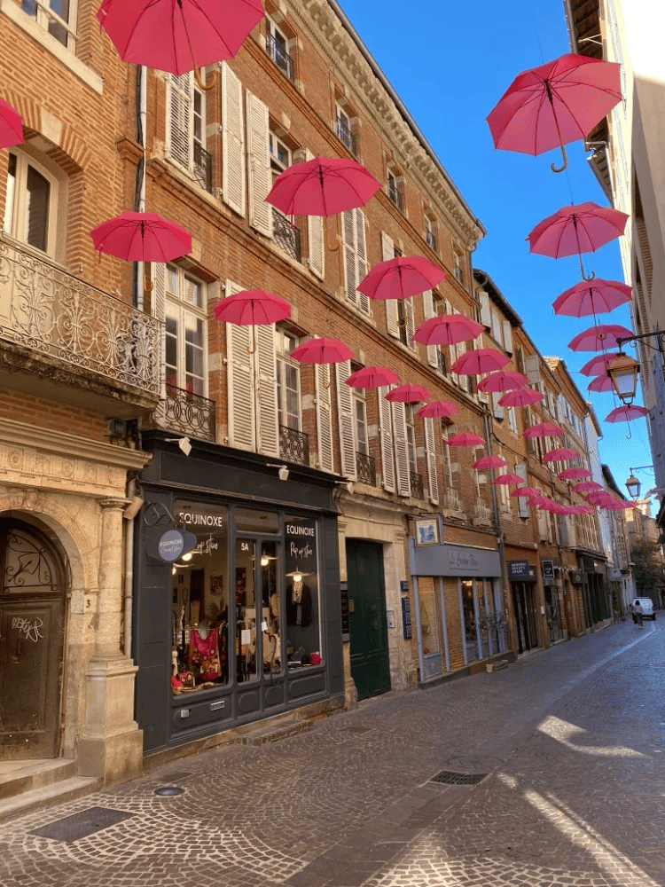 Albi a okolí