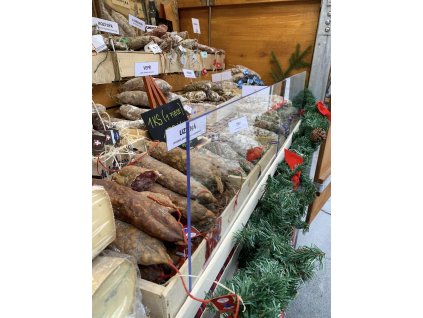 497830224 1247805657346226 5846637651107658921 n