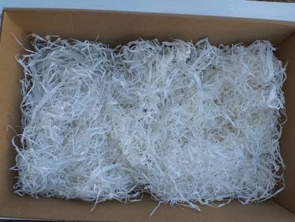 158436051 486329989037780 3057271202240516809 n