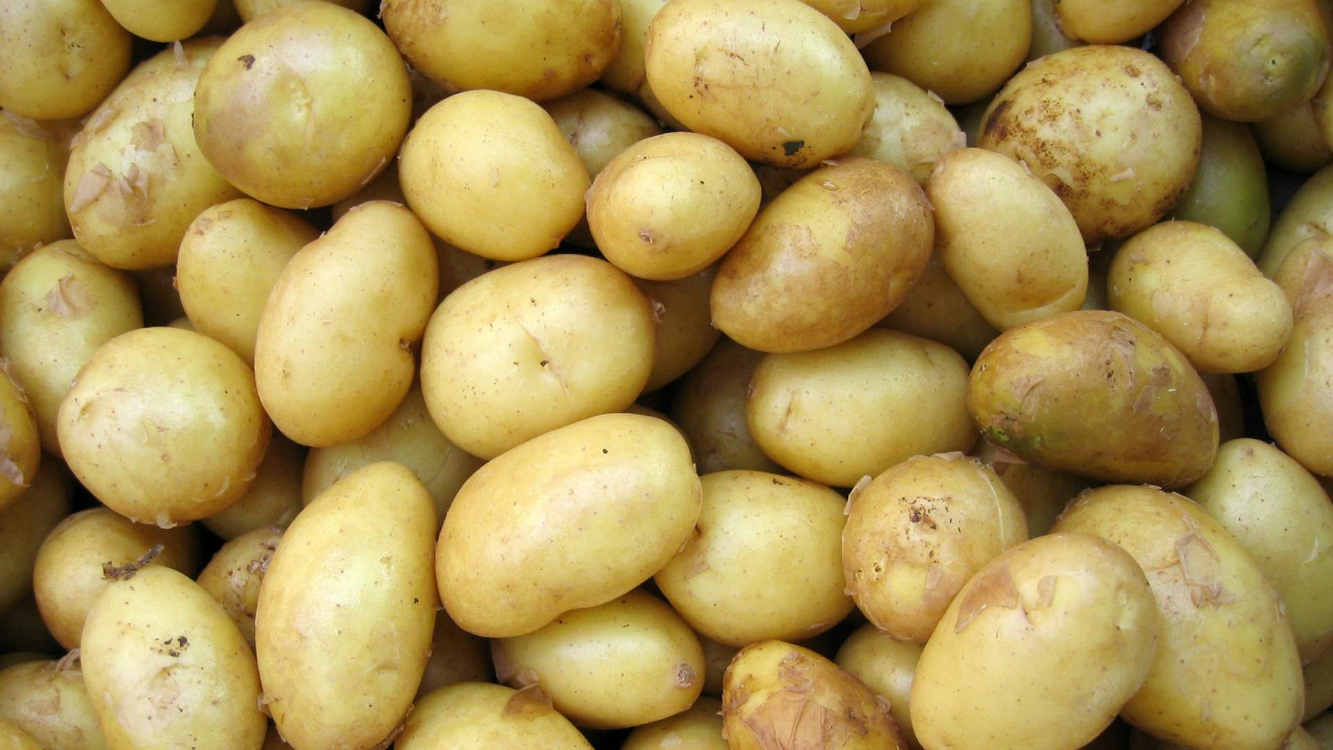 kdy-jak-a-cim-hnojit-brambory