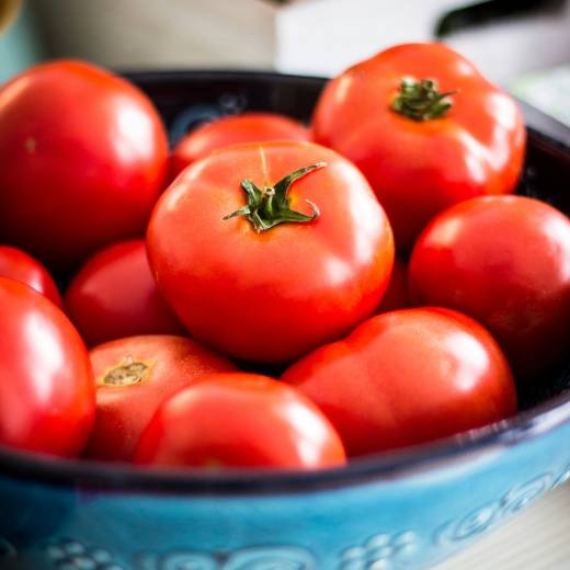 jak-casto-hnojit-rajcata