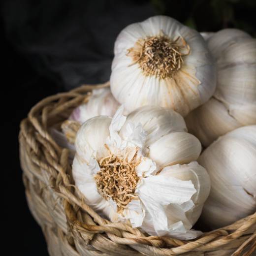 domaci-hnojiva-na-cesnek