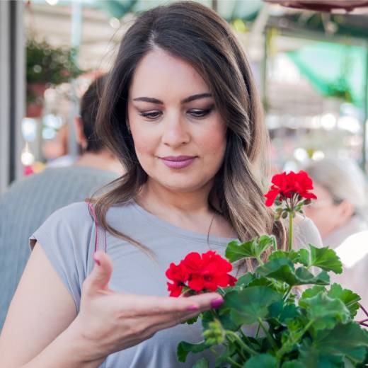 domaci-hnojivo-na-muskaty