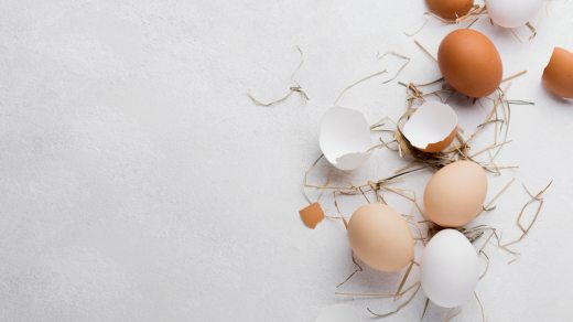 vajecne-skorapky-na-hnojeni