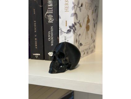 Černá lebka | Gotická dekorace do knihovny („Dark Skull“)