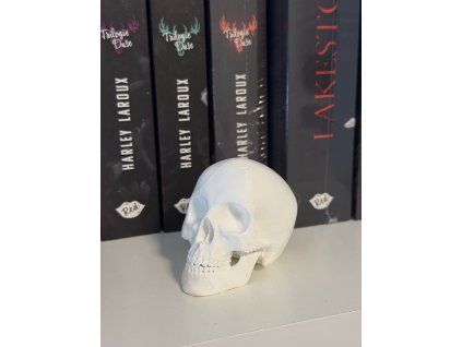 Bílá lebka | Gotická dekorace do knihovny („White Skull“)