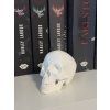 Bílá lebka | Gotická dekorace do knihovny („White Skull“)