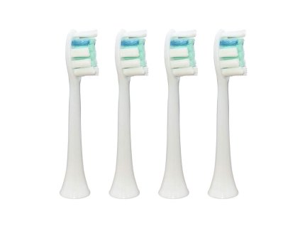 192 5c21a7a09664d480b209b4834bbd21c0