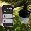 automatic bivvy light with remote