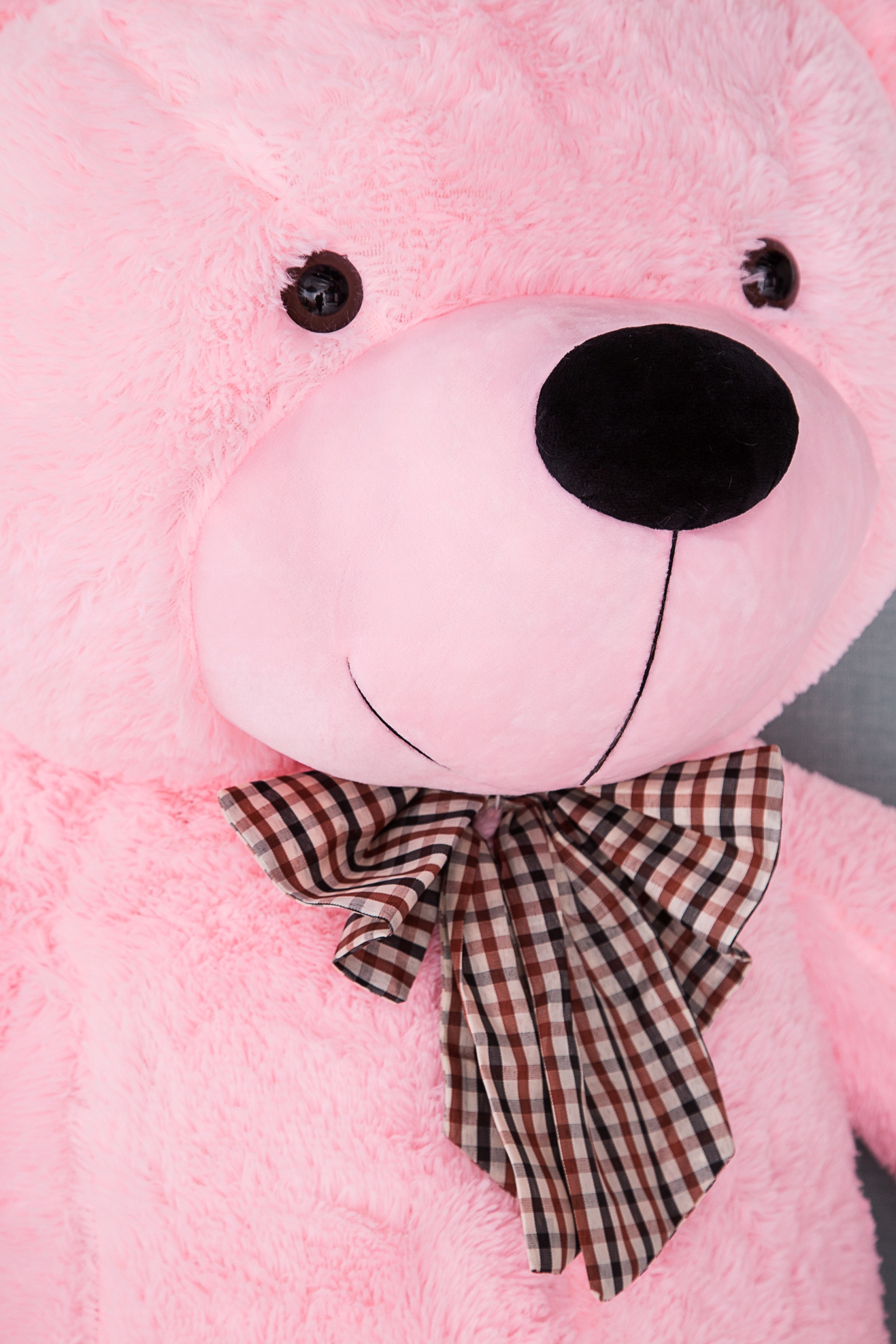 plysovy-medved-timitoy-ruzovy-50cm-classic-pink-new