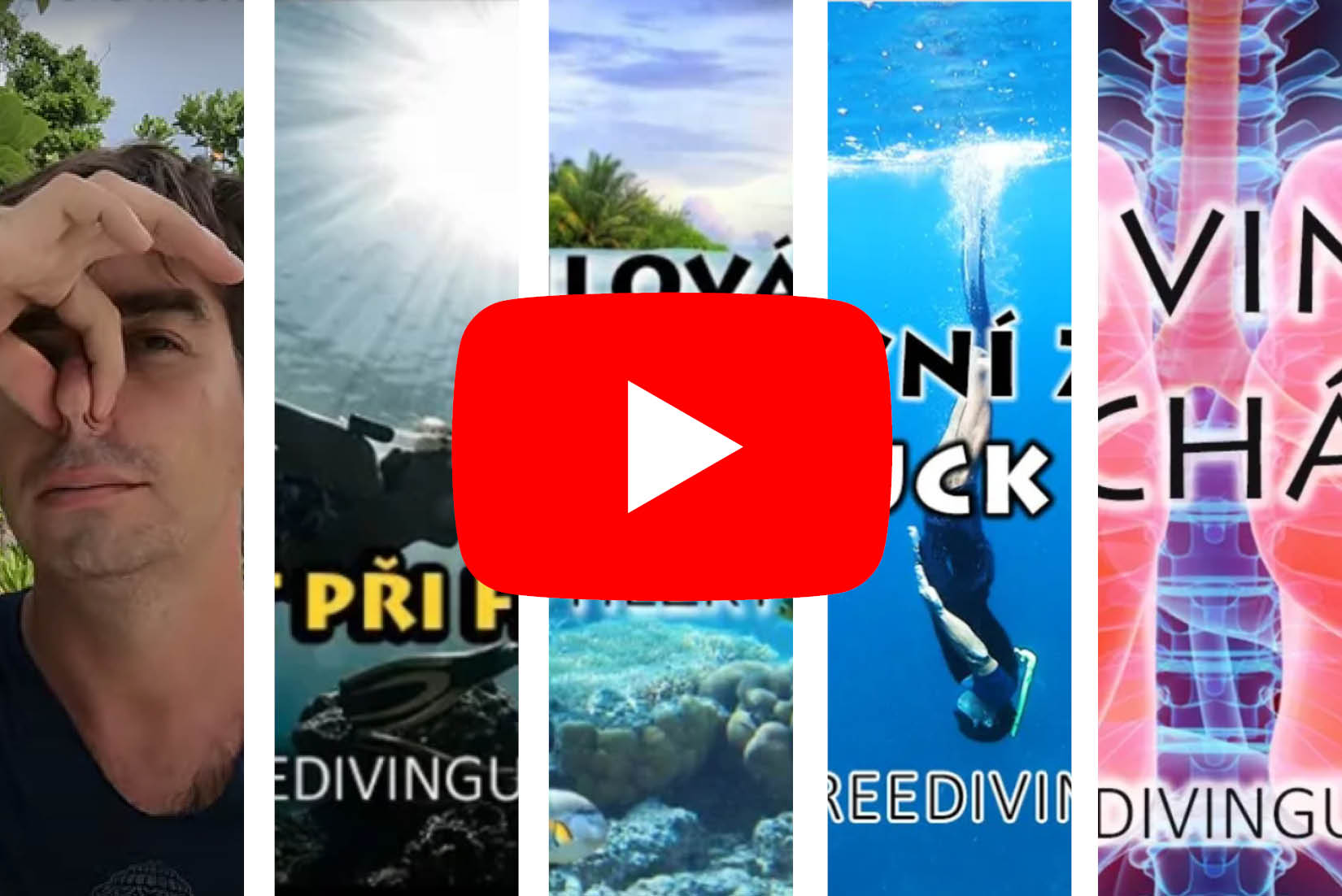 Základy freedivnigu hezky česky: Výuková videa zdarma