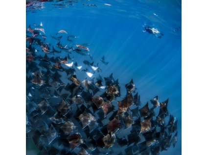 2026/05 Mexiko - POSLEDNÍ MÍSTO