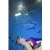 2026/06/14 Freedive Fun