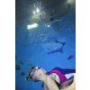 2026/09/05 Freedive Fun