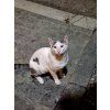 2026/10 Řecko na katamaránu