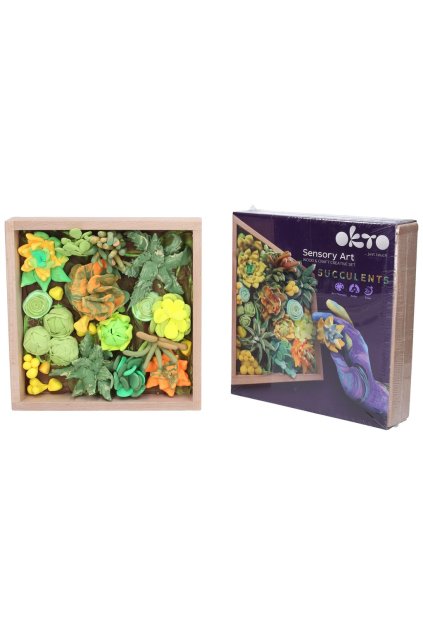 OKTO Energy Výtvarná modelovací sada sukulenty v dřevěném rámu 21x21 cm, OKTO, W031040