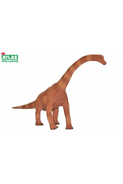 G - Figurka Dino Brachiosaurus 30cm, Atlas, W101830