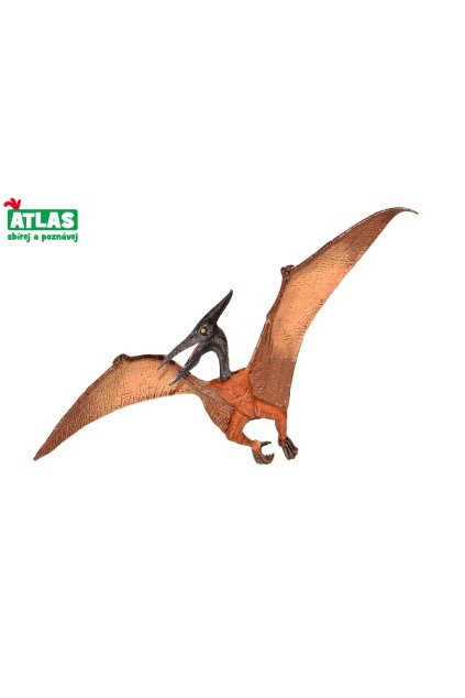 C - Figurka Dino Pteranodon 22cm, Atlas, W101836