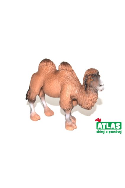 C - Figurka Velbloud 11cm, Atlas, W101847