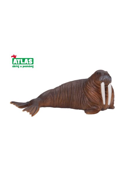 C - Figurka Mrož 13 cm, Atlas, W001791