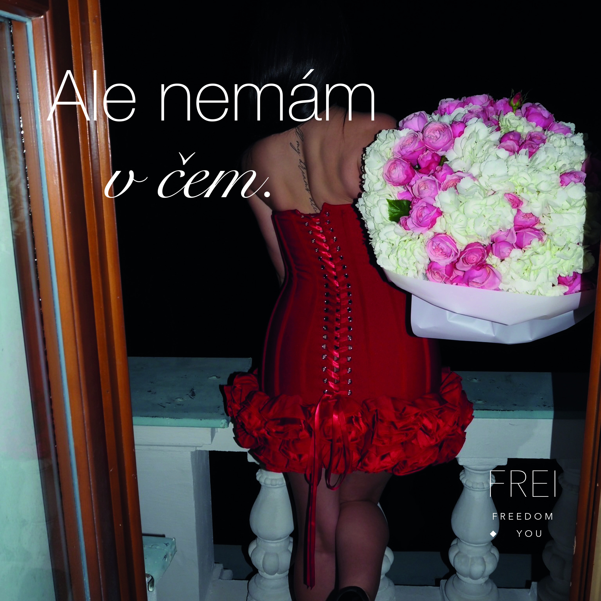 FREI – Ale nemám v čem