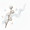 cotton20blossom