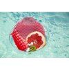 slant kiwi grapefruit 20325 1