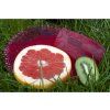 wave 3d kiwi grapefruit0325 1