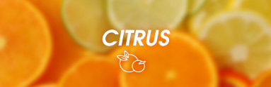 Vůně citrus