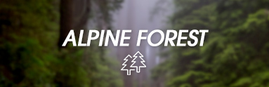 Alpine Forest